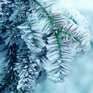 亚洲情a成黄在线观看动漫
